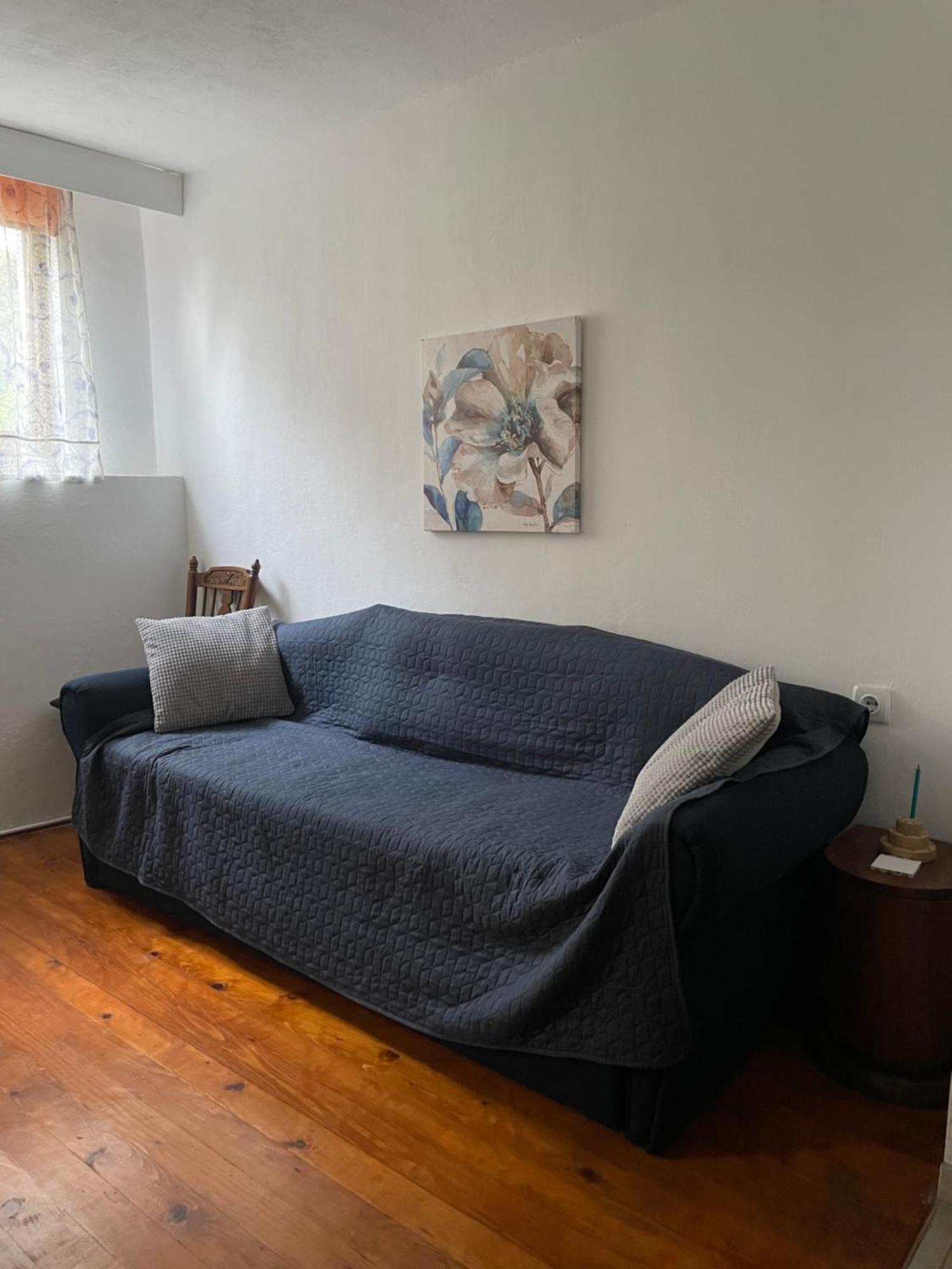 5Min Airport Apartment Surcin Bagian luar foto