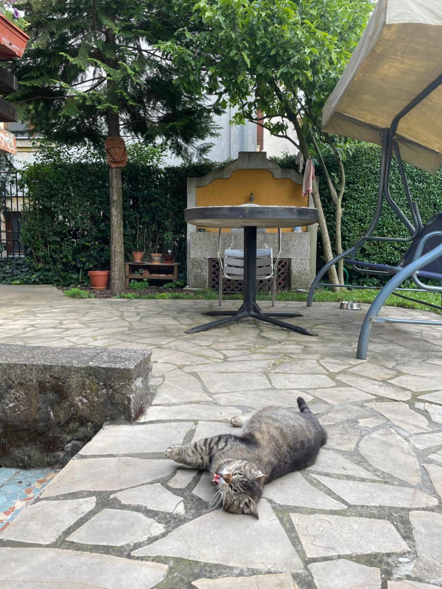 5Min Airport Apartment Surcin Bagian luar foto